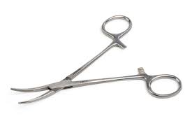 foreps image 12-01-2025